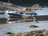 Diane and Davin\'s neighbor across the Meduncook River which flows into Muscongus Bay in Maine at low tide
