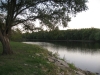 The Cedar River passing the campground/park