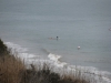 Surfers braving the cold water.